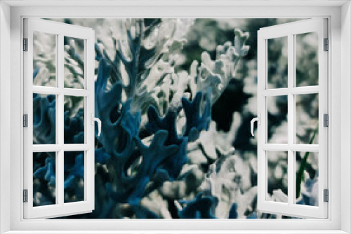 Fototapeta Naklejka Na Ścianę Okno 3D - White