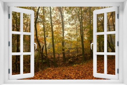 Fototapeta Naklejka Na Ścianę Okno 3D - Misty morning landscape in autumn park