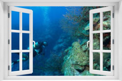 Fototapeta Naklejka Na Ścianę Okno 3D - Grand Cayman Scuba Diving Photos