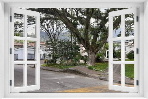 Fototapeta Naklejka Na Ścianę Okno 3D - 16/02/2020; Versalles neighborhood in the city of Calarca Quindio with Ceiba trees.