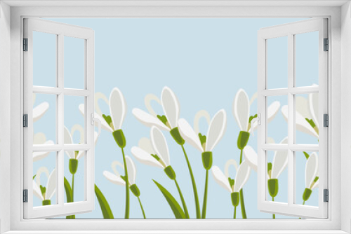Fototapeta Naklejka Na Ścianę Okno 3D - Seamless border, spring flowers snowdrops on light green background. Spring background with copy space. Illustration, vector