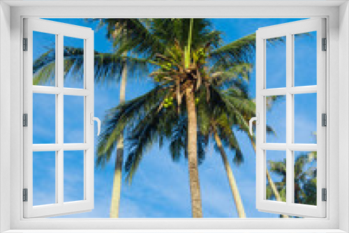 Fototapeta Naklejka Na Ścianę Okno 3D - Idyllic Island Coconut Coast
