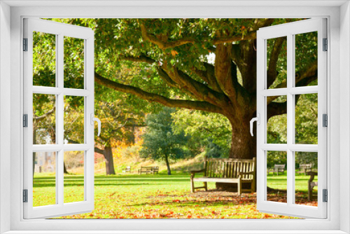 Fototapeta Naklejka Na Ścianę Okno 3D - Kew Gardens park