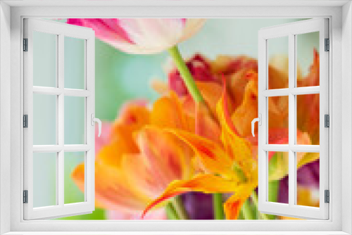 Fototapeta Naklejka Na Ścianę Okno 3D - spring tulips in the vase