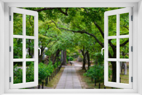 Fototapeta Naklejka Na Ścianę Okno 3D - 新緑の美しい初夏の真如堂境内の風景