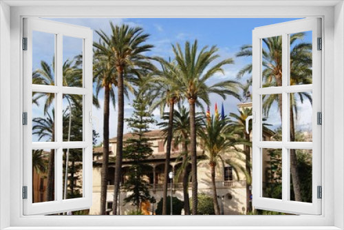 Fototapeta Naklejka Na Ścianę Okno 3D - Palms of Palma de Mallorca