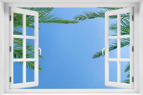 Fototapeta Naklejka Na Ścianę Okno 3D - Date palm leaves on a blue sky background. Natural, summer background. Blue sky. It's a sunny, clear day. The sun's rays. Summer background. Copy space
 