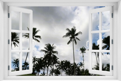 Fototapeta Naklejka Na Ścianę Okno 3D - Low angle view of palm trees against cloudy sky