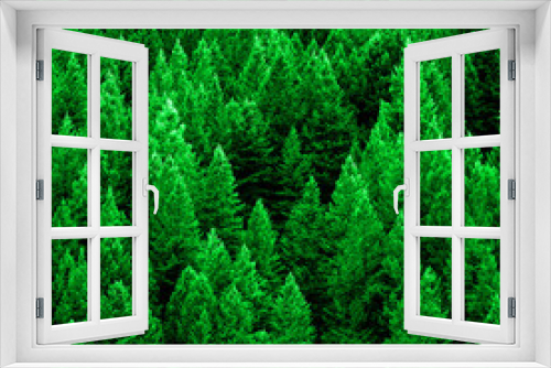 Fototapeta Naklejka Na Ścianę Okno 3D - Pine Forest in Wilderness Mountains