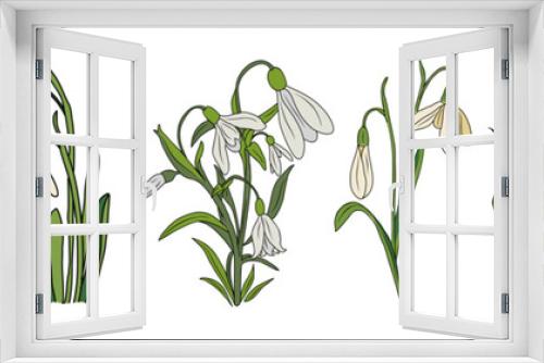 Fototapeta Naklejka Na Ścianę Okno 3D - Set of Snowdrop, January birth month flowers, hand drawing, colored outline, icon, Modern design for logo, tattoo, wall art, branding, packaging. Vector illustration isolated on white background