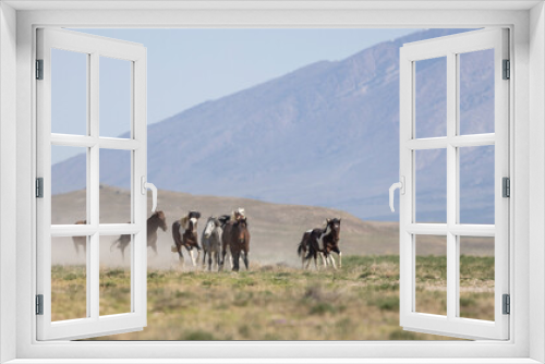 Fototapeta Naklejka Na Ścianę Okno 3D - Wild Horses in Springtime in the Utah Desert