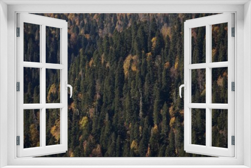 Fototapeta Naklejka Na Ścianę Okno 3D - Autumn in the mountains