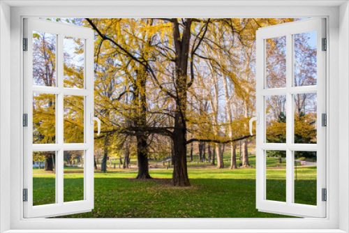 Fototapeta Naklejka Na Ścianę Okno 3D - Trees in park