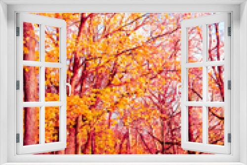 Fototapeta Naklejka Na Ścianę Okno 3D - Fall Wallpaper Autumn Leaves