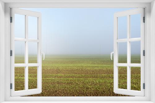 Fototapeta Naklejka Na Ścianę Okno 3D - beautiful green meadow in heavy mist