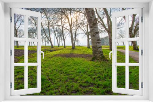 Fototapeta Naklejka Na Ścianę Okno 3D - Trees along a path in sunlight in winter, Almere, Flevoland,  Netherlands, February 13, 2024