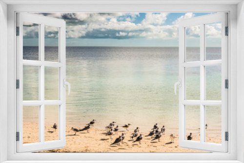 Fototapeta Naklejka Na Ścianę Okno 3D - Bahamas Coco Cay Caribbean Island