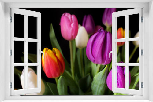 Fototapeta Naklejka Na Ścianę Okno 3D - close up bunch of purple  tulips n dark background