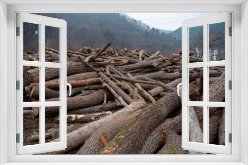 Fototapeta Naklejka Na Ścianę Okno 3D - Cut down trees, firewood pile in the forest