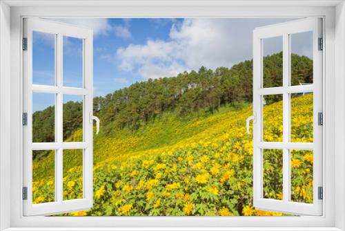 Fototapeta Naklejka Na Ścianę Okno 3D - Mexican Sunflower