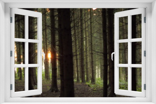Fototapeta Naklejka Na Ścianę Okno 3D - Verwunschener Wald