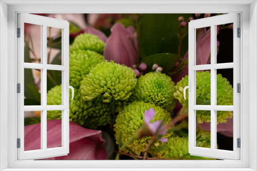 Fototapeta Naklejka Na Ścianę Okno 3D - small green Chrysanthemums 