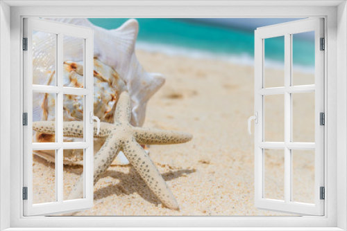 Fototapeta Naklejka Na Ścianę Okno 3D - sea shell and starfish on tropical sand beach and sea background
