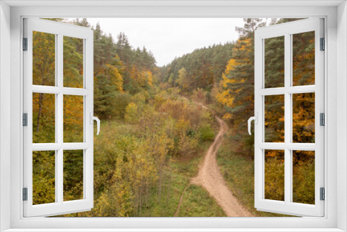 Fototapeta Naklejka Na Ścianę Okno 3D - Drone photography of a dirt footpath in a a forest during autumn day