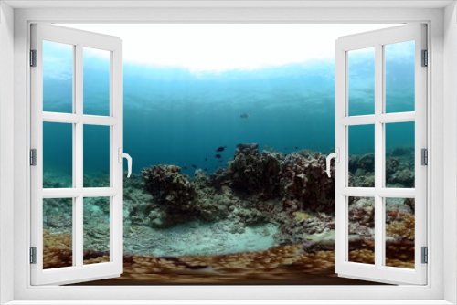 Fototapeta Naklejka Na Ścianę Okno 3D - Coral reef and tropical fish under the sea floor. Underwater world scene. 360-Degree view.