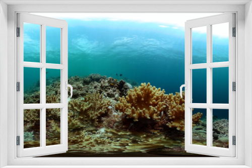Fototapeta Naklejka Na Ścianę Okno 3D - Beautiful underwater scene and hard coral reef with fishes. Undersea world. 360-Degree view.