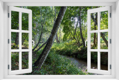 Fototapeta Naklejka Na Ścianę Okno 3D - Beautiful landscape, view, landscape, inspiring