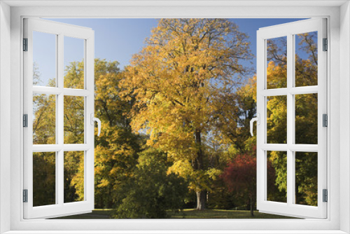 Fototapeta Naklejka Na Ścianę Okno 3D - goldener oktober