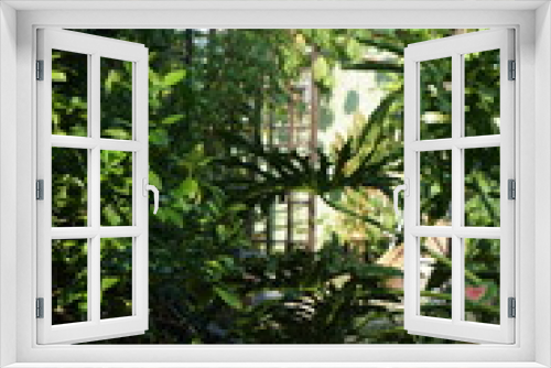 Fototapeta Naklejka Na Ścianę Okno 3D - Garden Pathway