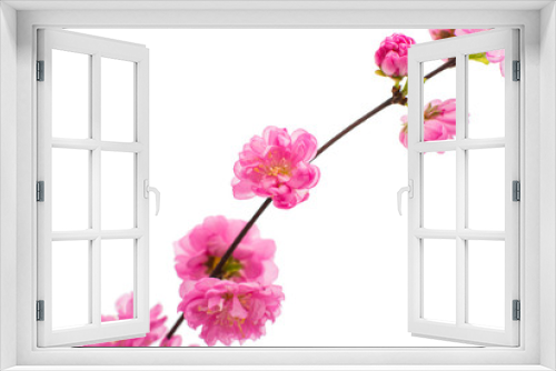 Fototapeta Naklejka Na Ścianę Okno 3D - Spring cherry tree blossoms