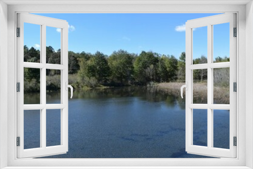 Fototapeta Naklejka Na Ścianę Okno 3D - Ponds at the University of Mississippi Field Station