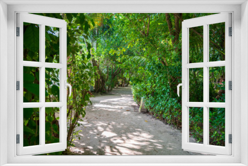 Fototapeta Naklejka Na Ścianę Okno 3D - Sandy path in a dense tropical green forest.