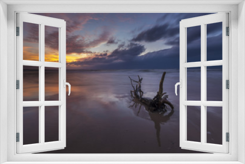 Fototapeta Naklejka Na Ścianę Okno 3D - konar wyrzucony przez fale morskie na plażę