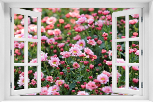 Fototapeta Naklejka Na Ścianę Okno 3D - beautiful blossom spring