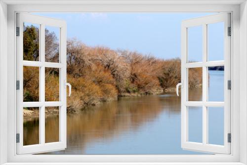 Fototapeta Naklejka Na Ścianę Okno 3D - Salix trees by the side of Ceyhan River passing Bebeli  village.key in Yumurtalik in Adana