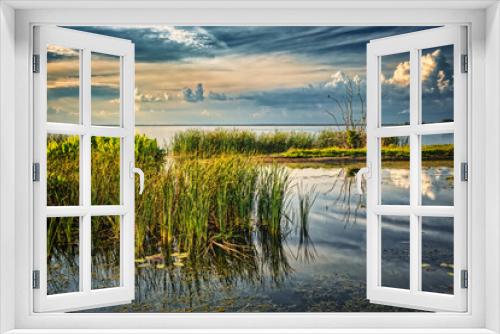 Fototapeta Naklejka Na Ścianę Okno 3D - Shoreline of Lake Apopka in Central Florida