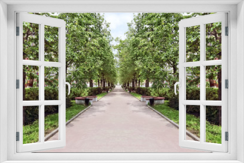 Fototapeta Naklejka Na Ścianę Okno 3D - Beautiful avenue with green trees and bench in summer sunny day