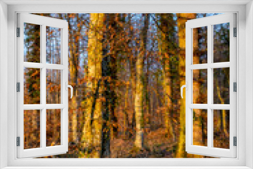 Fototapeta Naklejka Na Ścianę Okno 3D - Sonne im Wald