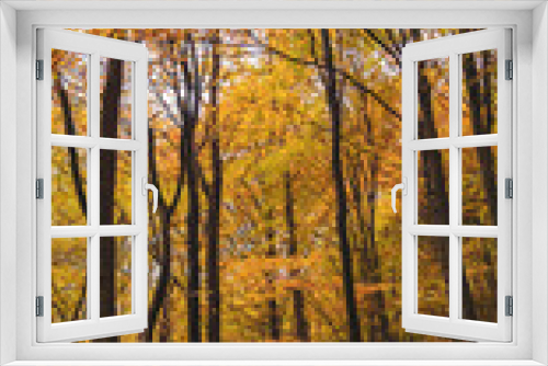 Fototapeta Naklejka Na Ścianę Okno 3D - Picturesque autumn landscape far in the wilderness. Vast multicolored forest in sunny weather