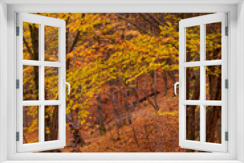 Fototapeta Naklejka Na Ścianę Okno 3D - Picturesque autumn landscape far in the wilderness. Vast multicolored forest in sunny weather