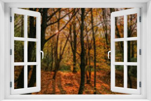 Fototapeta Naklejka Na Ścianę Okno 3D - A beautiful autumn landscape with a huge colorful forest in a warm sunlight. Astonishing view into the woods colored in golden and yellow during fall season