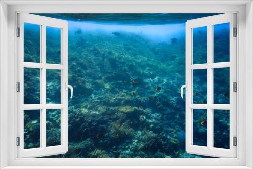 Fototapeta Naklejka Na Ścianę Okno 3D - Red Sea underwater scenery with tropical fishes, Egypt