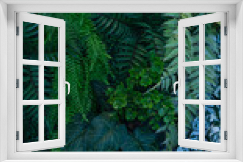 Fototapeta Naklejka Na Ścianę Okno 3D - Group of dark green tropical leaves background, Nature Lush Foliage Leaf Texture, tropical leaf.