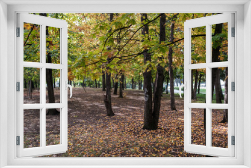 Fototapeta Naklejka Na Ścianę Okno 3D - autumn in Sofia