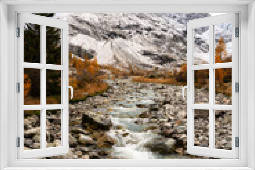 Fototapeta Naklejka Na Ścianę Okno 3D - Foliage in the Alps