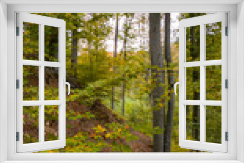 Fototapeta Naklejka Na Ścianę Okno 3D - A beautiful autumn landscape with a huge colorful forest. Astonishing view into the woods colored in golden and yellow during fall season